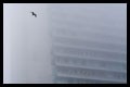 Foggy Boston